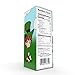 St. Patrick's Day Lucky Belgian Milk Chocolate Gold Coins, Nut-Free, Kosher Certified Dairy, Leprechaun Box (2 Pounds)