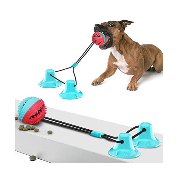 dog toy with suction cup