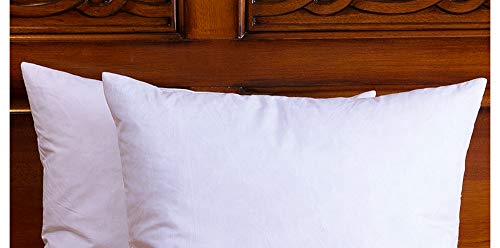 3 DOWNIGHT+Inches+Feather+Inserts+Pillows