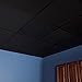 Genesis 2ft x 2ft Smooth Pro Black Ceiling Tiles - Easy Drop-in Installation – Waterproof, Washable and Fire-Rated - High-Grade PVC to Prevent Breakage (One Tile)