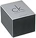Calvin Klein Women's K2M23126 Window Stainless Steel Watch with Brown Leather Band
