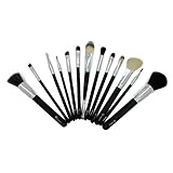 Royal Care Cosmetics Professional 12 Piece Make Up Brushes Set