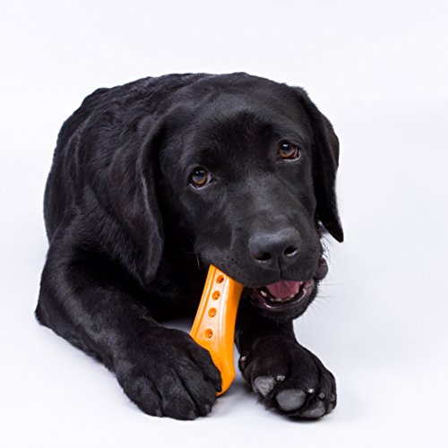 Hartz Chew 'n Clean Dental Duo Bacon Flavored Dog Chew Toy - Medium