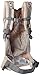 Ergobaby Original Award Winning Ergonomic Multi-Position Baby Carrier with X-Large Storage Pocket, Rose Harmony