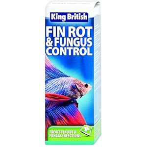 King British Fin Rot and Fungus Control, 100 ml