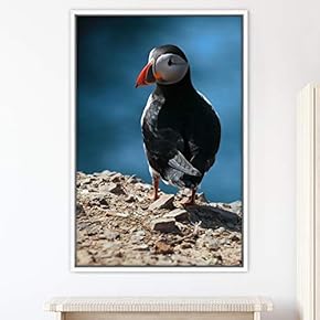 signwin Framed Canvas Wall Art Single Bird Birds...