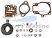 Johnson Evinrude OMC, New OEM, Carburetor Repair Kit With Float 0396701