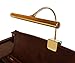 LED Piano Lamp Brass Flexible Gooseneck 12 Inch Shade Piano Light