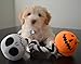Disney Nightmare Before Christmas Pumpkin King Rope Tug Chew Dog Toy, Two Built-in Squeakers, Multi-Sensory Toy