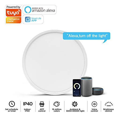 Smart LED Flush Mount Ceiling Light WiFi, Works with Alexa Google Home, 12inch 24W Adjustable Light with Ambient Light Fixture for Bedroom Living Room Dining Hall Party - Image 3