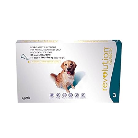 revolution for dogs amazon