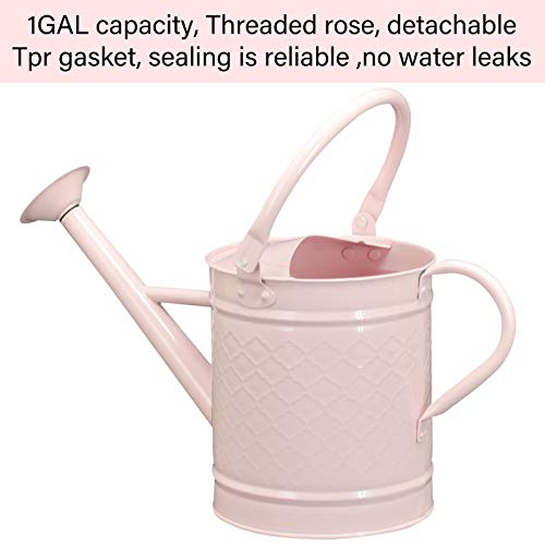 HORTICAN 1 Gal Galvanized Steel Watering Can Decorative Farmhouse Style Watering Can, Removable