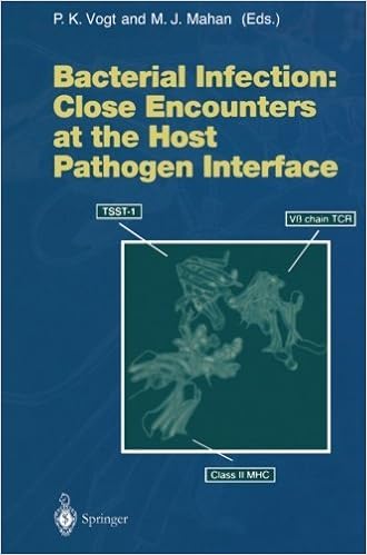 Httpplibraryokhascfprojectlivres C3a0 Tc3a9lc3 - 