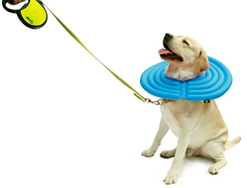 UsefulThingy Dog Recovery Collar - Soft Comfy Cone E-Collar After Surgery, Anti-Bite/Lick - for Cats Too, Quicker Healing - 5 Sizes, 2 Colors (XXL, Blue)