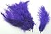 TBUY ROSE 3.5-6 inch 9-15cm Colorful Ostrich Feathers for DIY Dream Catchers Crafts Bulk Feathers Assorted Colors Home Decoration DIY Craft (500 Pack)