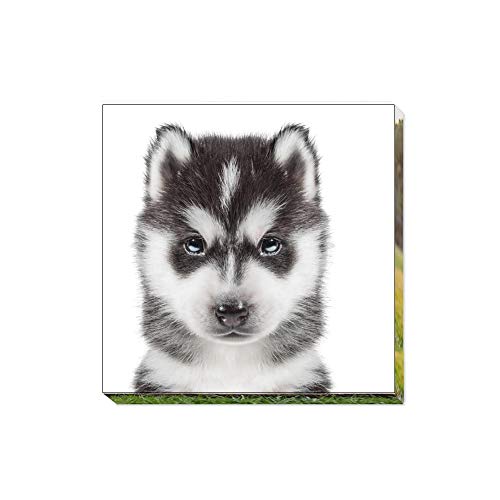 WiHoo Your Personalised Photo Image Picture on Canvas Print Framed Ready to Hang Wall Art (30x30cm)