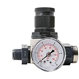 BWT Inline Pressure Reducer M 3/8" x F 3/8" 2-8 Bar