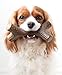 Benebone Maplestick Real Wood Durable Dog Chew Toy, Made in USA, Large