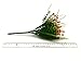 Bird Fiy Babys Breath Artificial Flowers,4 Bundles Gypsophila Flower Wedding Home Decor Gift(Orange)