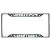 FANMATS 14865 Michigan State Spartans Chrome Metal License Plate Frame, Team Colors, 6.25in x 12.25in