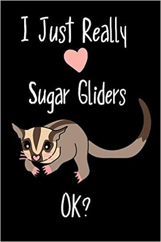 sugar glider amazon