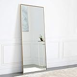 NeuType Full Length Mirror Standing Hanging or Leaning Against Wall, Large Rectangle Bedroom Mirror Floor Mirror Dressing Mirror Wall-Mounted Mirror, Aluminum Alloy Thin Frame, 65