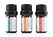 Prairie Essentials Holiday Essential Oil Blends 3-pack (Pumpkin Spice, Fall Leaves, Happy Holidays), 100% Pure, Undiluted, Therapeutic Grade