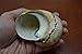 Large South Africa Sarmaticus Turbo Hermit Crab Sea Shell 3