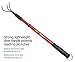 Corona GT3090 Extendable Handle 3-Tine Hoe