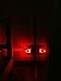 GREENIC Red Plug in LED Night Light 2 Pack Dusk to Dawn Sensor for Bedroom, Bathroom, Kitchen, Hallway