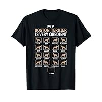 Boston Terrier Very Obedient Pet Lovers