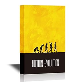 Human Evoluti Human Evolution Process