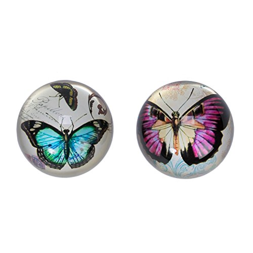 Beachcombers - 2/a butterfly paperweights