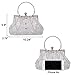 Selighting Beaded Clutch Purse Silver Evening Bags 1920s Vintage Bag for Women Formal Bridal Wedding Clutch Purse Prom Cocktail Party Handbags Silver