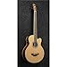 Ibanez AEB105E - Natural High Gloss