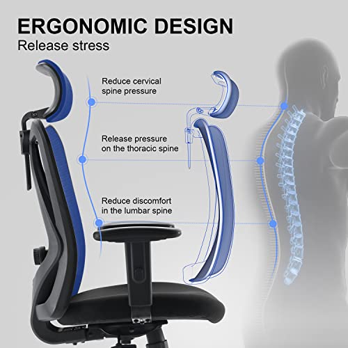 XUER Ergonomic Office Chair, Mesh Computer Desk Chair with Adjustable