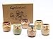 Weierken Mini 6PCS Owl Pot Ceramic Flowing Glaze Base Serial Set Succulent Plant Pot Cactus Plant Pot Valentine's Day Container Planter Bonsai Pots with A Hole, Christmas