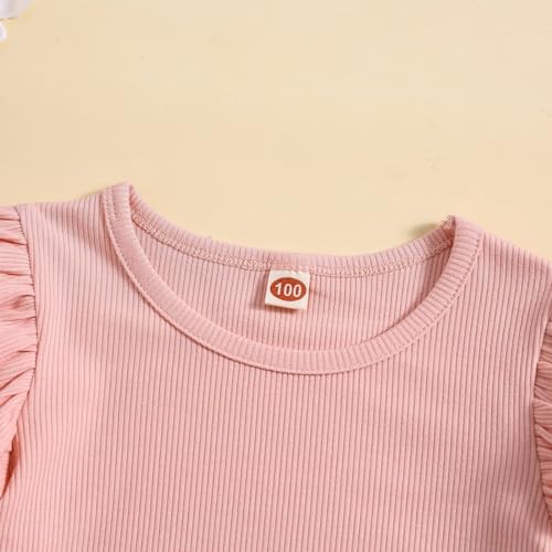 TODDLER GIRL CLOTHES BABY GIRL SUMMER OUTFIT SHIRT AND SHORTS 2 PIECE OUTFITS FOR GIRLS 12 MONTHS, PINK