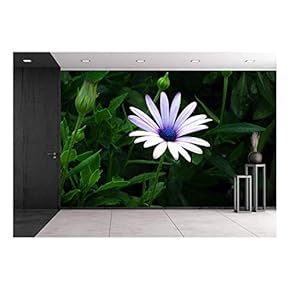 Closeup of Flower Petal - Removable Wall Mural | Self-Adhesive Large Wallpaper - 66x96 inches