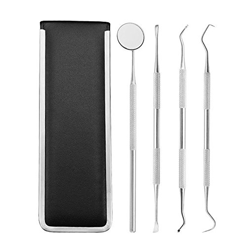 Wesracia Essential Dental Hygiene Kit Stainless Steel Oral Care Tool Cleaning Four-Piece Set (Silver)