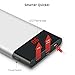 Slim Power Bank 10000mAh, Pisen Dual-USB Output Portable Charger, Compact External Battery Pack 2.4A Fast Charge with LED Display for iPhone, Samsung Galaxy and More (Silver)