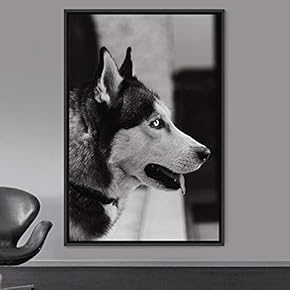 signwin Framed Canvas Wall Art Duotone Pupper Animals...