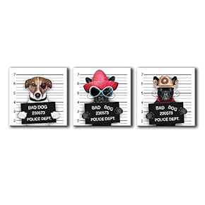 Funny Animals Home Artwork for Living Room Bedroom x3 Panels