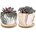 6pcs Bamboo Round Plant Saucer Flower Pot Tray for Cactus Plant Pot Flower Pot Container Planter Bonsai Pots,no Plants Potthumb 1