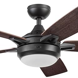 Prominence Home 51649-01 Lorelai Smart Ceiling Fan