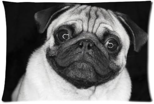 Thekelly shop Pug Dog In Black And White background Decorative Cushion Cover Pillowcase,20x30inch 50% cotton 50% polyester material,two-sided