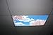 Springtime Bliss Skypanels - Replacement Fluorescent Light Diffuser