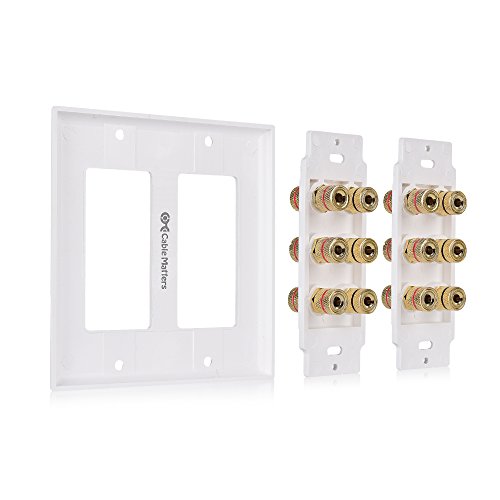 Cable Matters Double Gang Speaker Wall Plate (Banana Plug Wall Plate