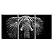 wall26 Canvas Print Wall Art Set Black and White Elephant Portrait Animals Nature Photography Realism Rustic Scenic Dark Country Ultra for Living Room, Bedroom, Office - 16
