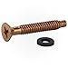 3) NEW Pentair 79104800 Pool Light Replacement Brass Pilot Screws w/Gum Washers